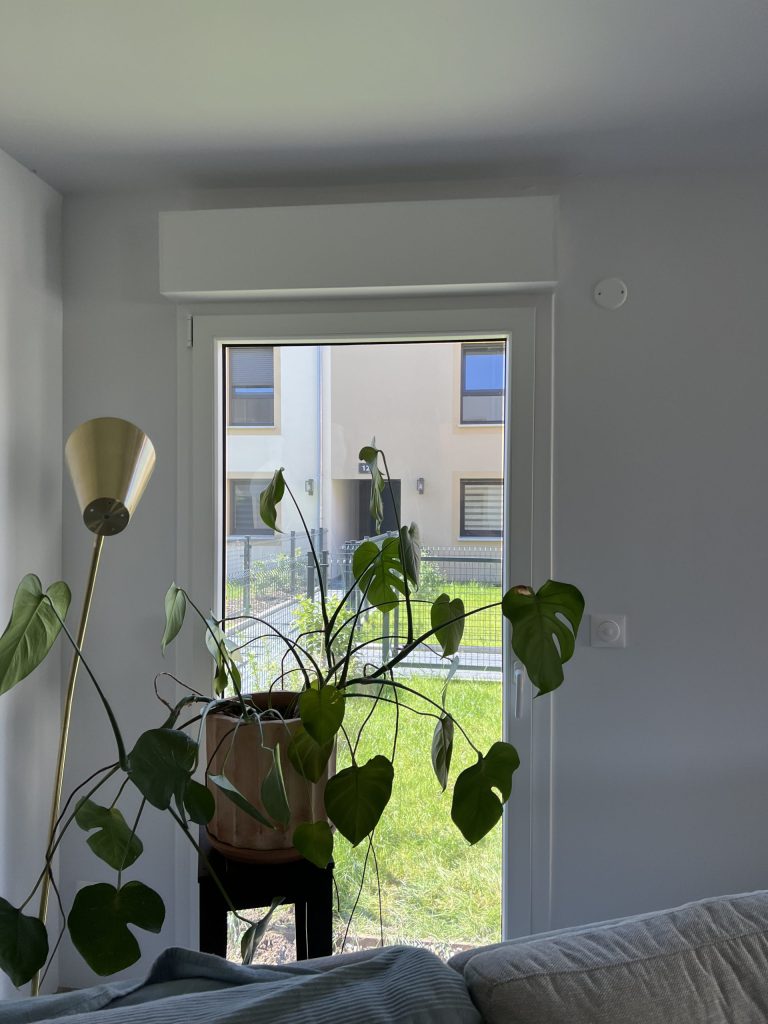 Pose de vitrophanie anti effraction / anti vis à vis à Erstein dans le Bas-Rhin